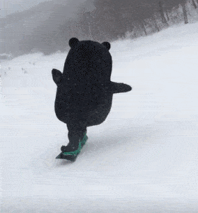 亳州萌宠乐园大熊猫介绍