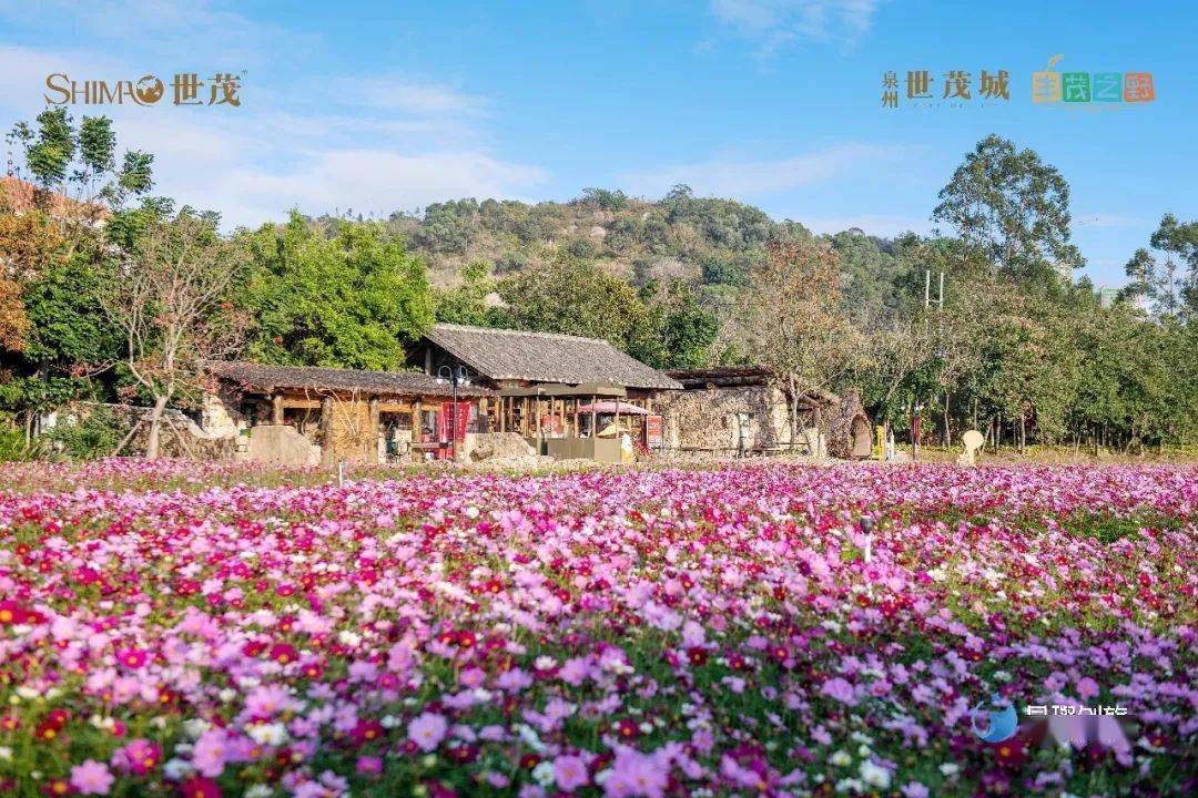 京东白条收款提现要手续费么 京东白条收款提现手续费揭秘，一文读懂费用明细及案例分享