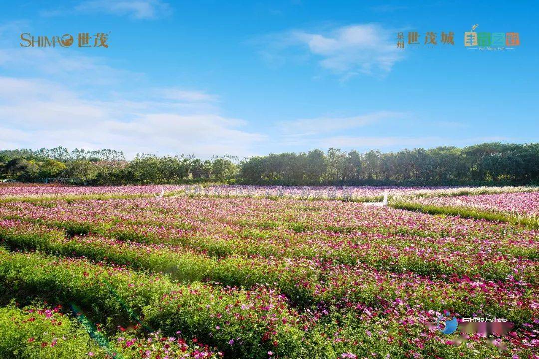 京东白条收款提现要手续费么 京东白条收款提现手续费揭秘，一文读懂费用明细及案例分享