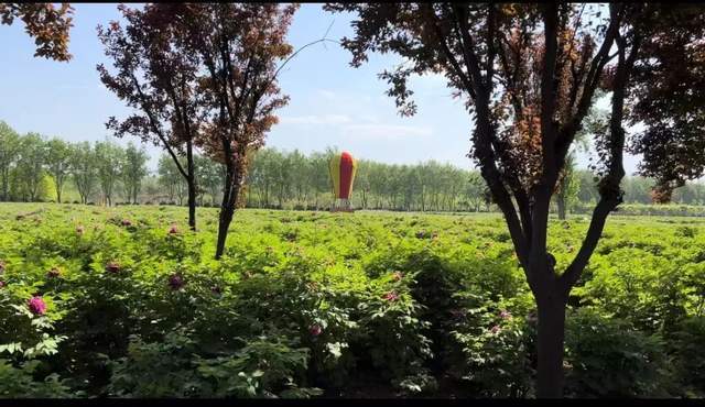 怎么恢复已经删除的微信聊天记录？详细步骤与实用方法
