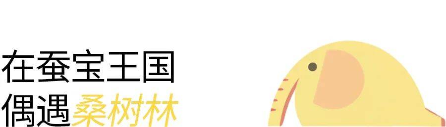 微信分付提现二维码咋申请 微信分付提现二维码申请攻略，轻松操作，快速到账！