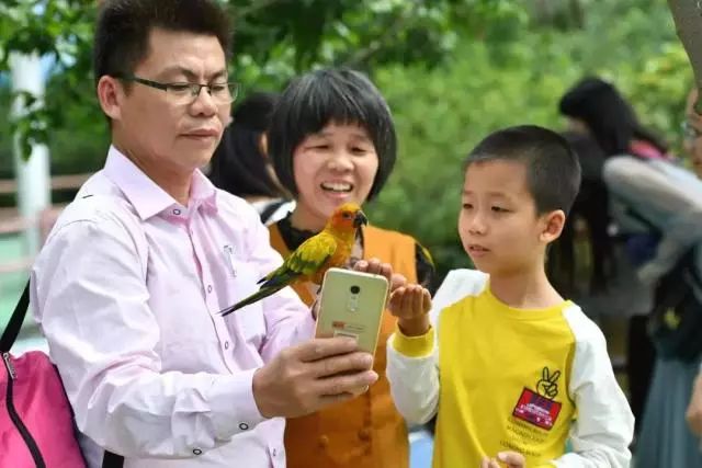 京东白条闪付怎么取现 京东白条闪付取现攻略，轻松操作，资金到账快人一步！