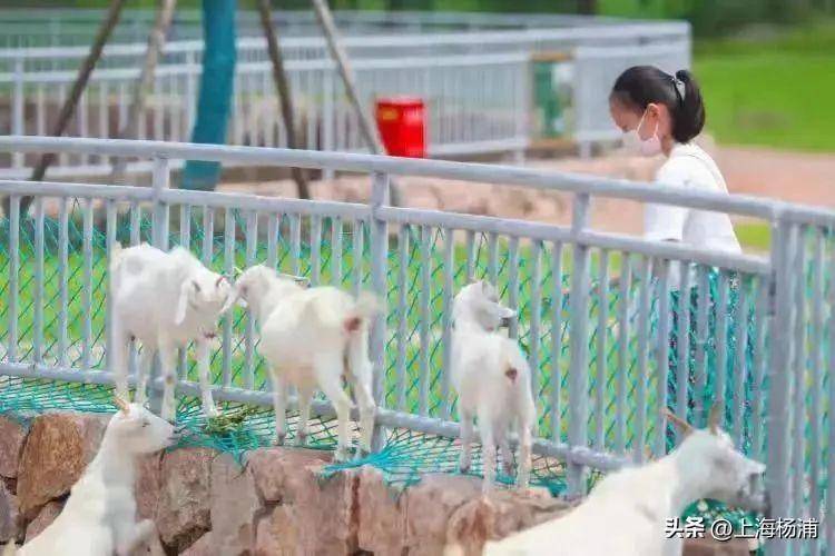 投资平台不充值不让提现 揭秘投资平台不充值不让提现的套路，投资者需警惕！