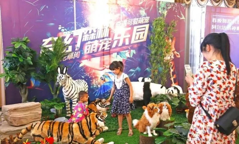云南朵拉萌宠乐园加盟条件概览