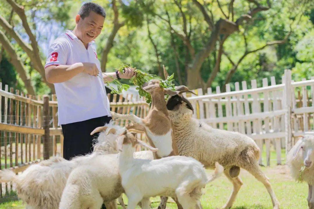 精灵物语萌宠乐园优惠团购—探索奇幻世界，与小精灵一起成长