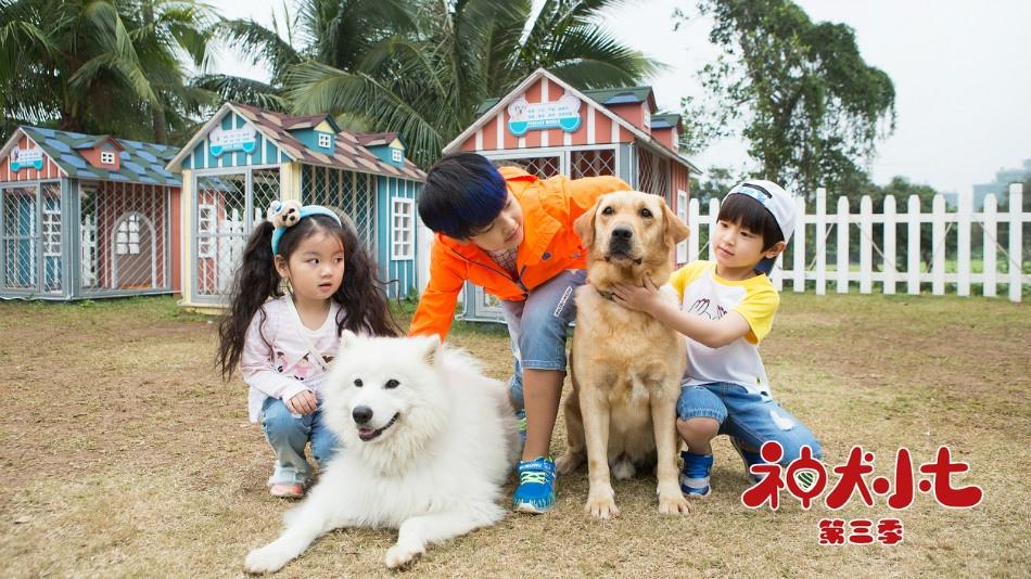 精灵物语萌宠乐园优惠团购—探索奇幻世界，与小精灵一起成长