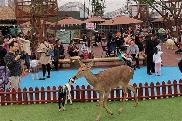 寿县堰口牧童萌宠乐园游玩指南