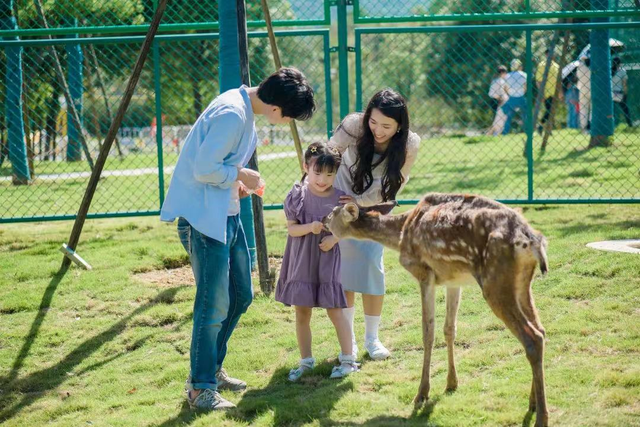 京东白条能提现到钱包 京东白条提现攻略，轻松将额度转到钱包，告别现金烦恼！