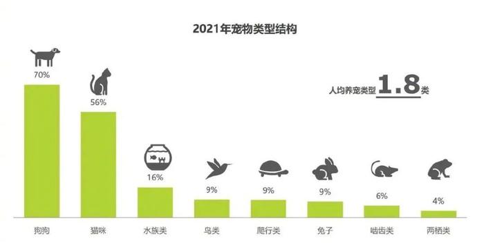 京东白条能提现到钱包 京东白条提现攻略，轻松将额度转到钱包，告别现金烦恼！