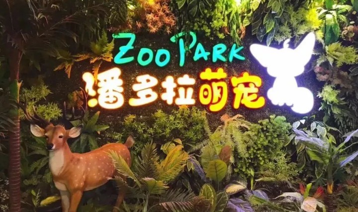 京东白条如何无息提现 京东白条无息提现攻略，轻松实现资金周转，省心又省力！