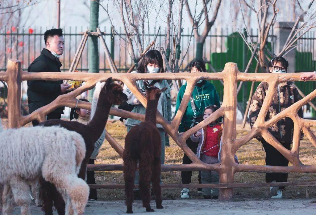 赣州萌宠乐园位置揭秘