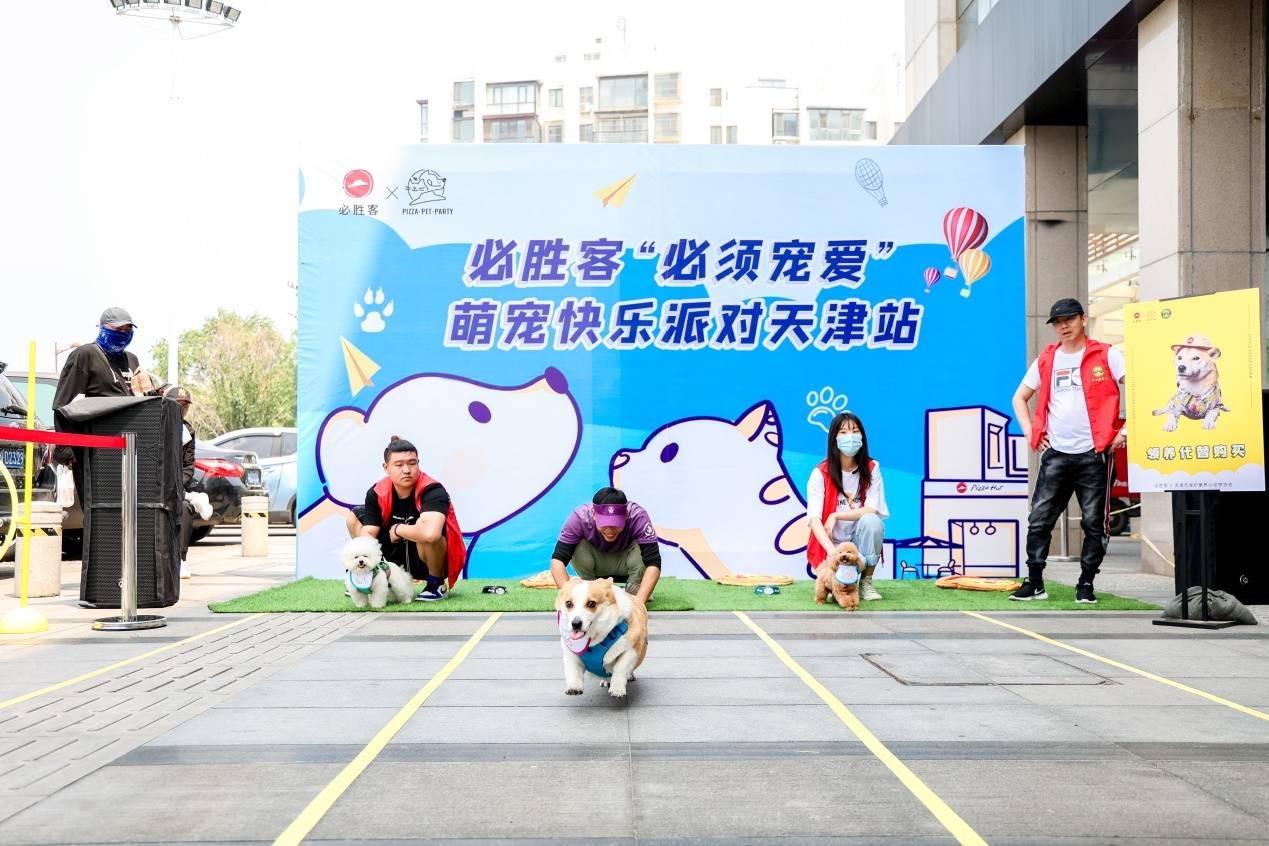 揭秘开平豆豆萌宠乐园