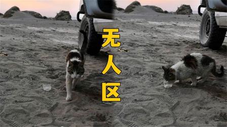 滕州尚善公园萌宠亲子乐园全攻略