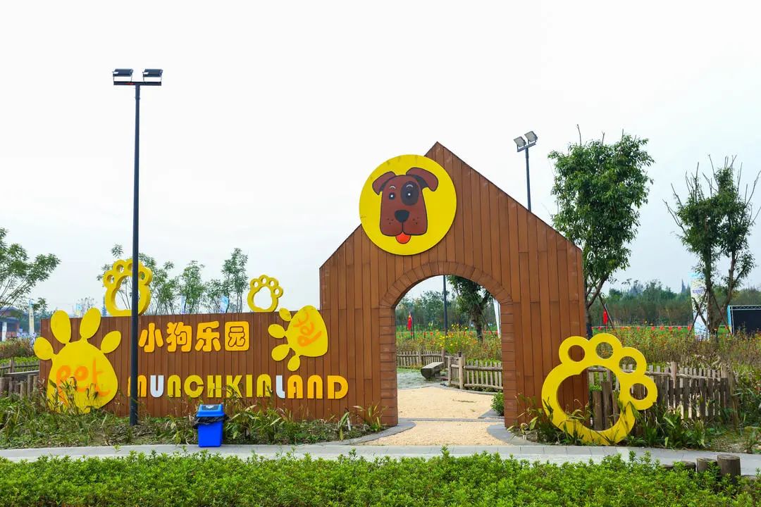 深云平台查酒店记录，便捷预订与信息管理的新选择