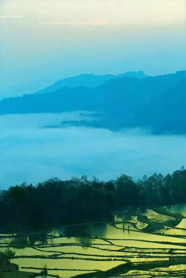 萌宠乐园员工服装要求标准与案例说明