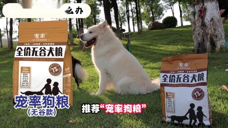 如何用身份证查老公开房记录信息 揭秘身份证查老公开房记录，如何轻松获取信息？