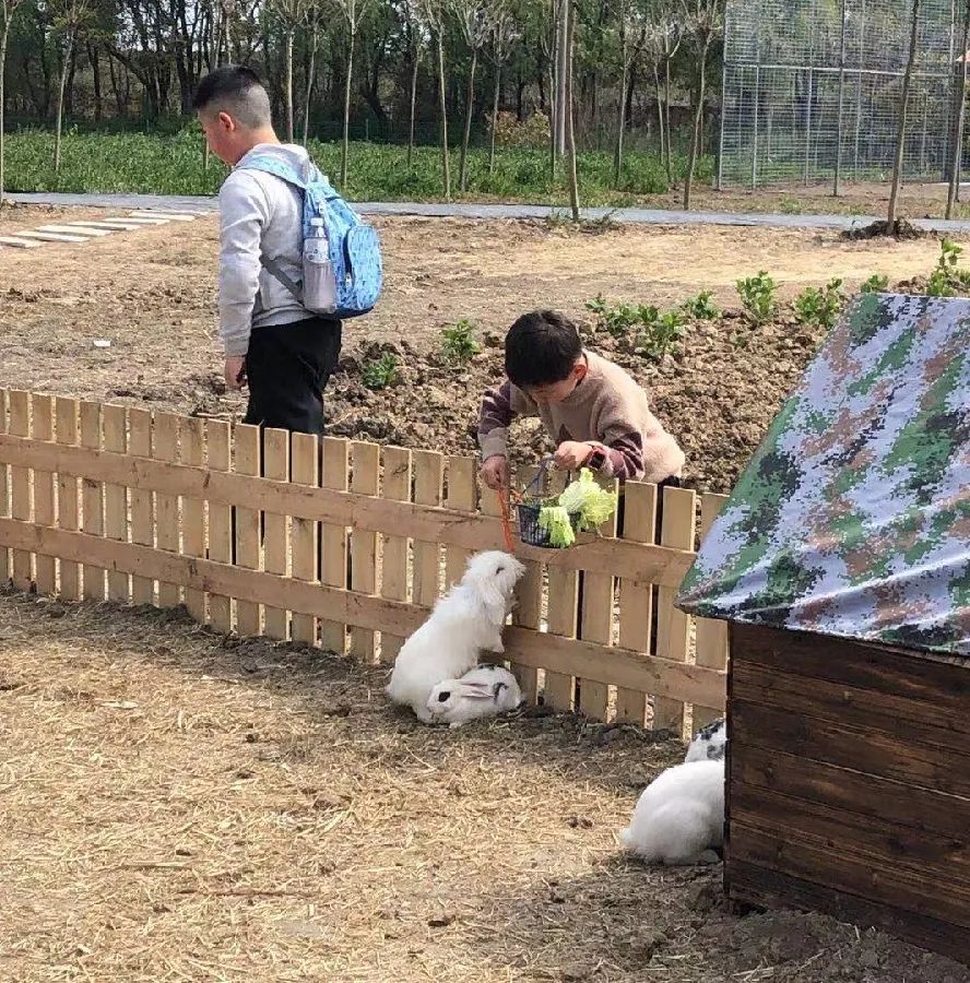 最新羊小咩便荔卡如何兑现 最新羊小咩便荔卡如何轻松兑现，攻略来了！