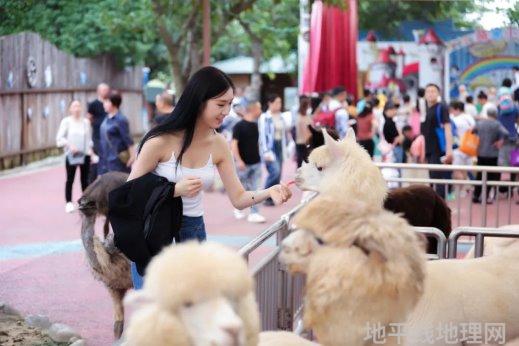 爱玛儿童萌宠乐园揭秘