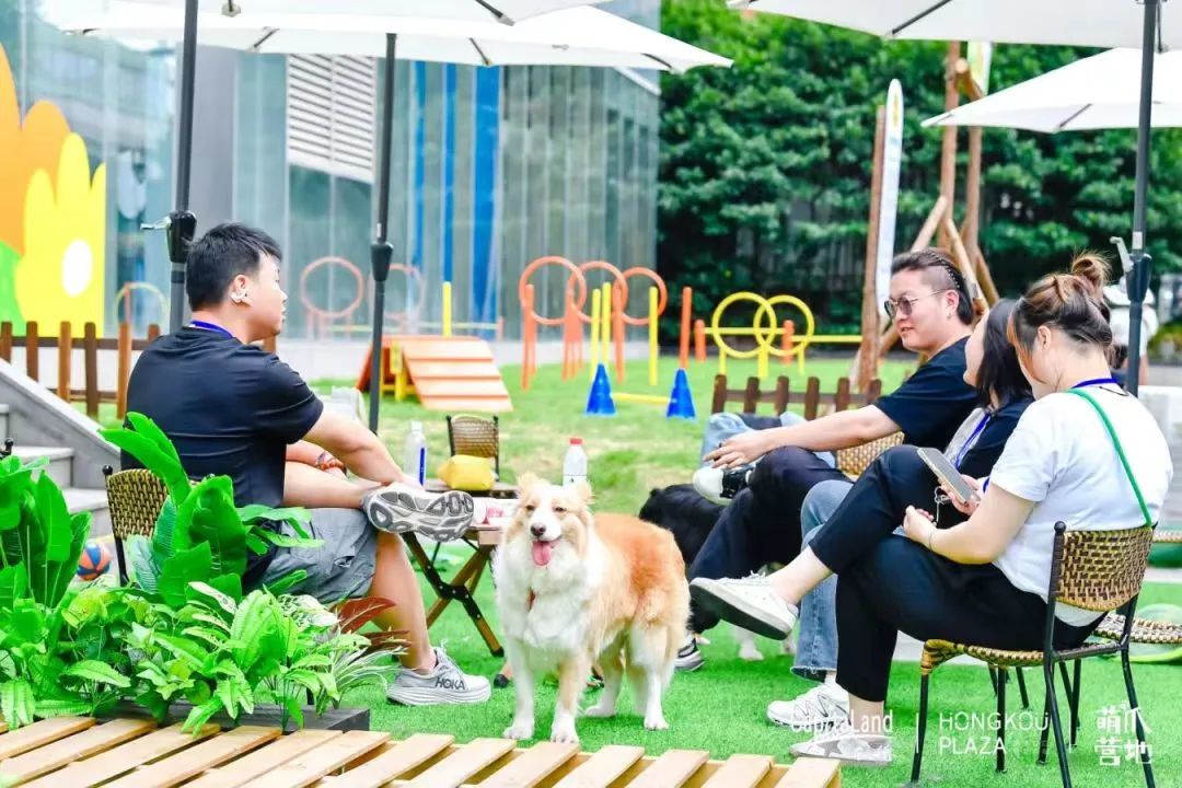 开房记录可以查几年 揭秘开房记录查询，能查几年，有何依据？