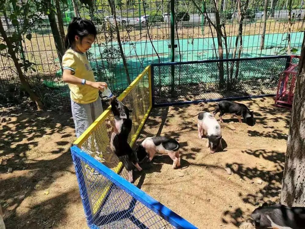 抖音月付在美宜佳可以套出来 揭秘抖音月付在美宜佳的神奇套现术，你get了吗？