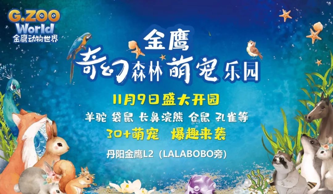 白条怎么才算下个月提现？一文全解析