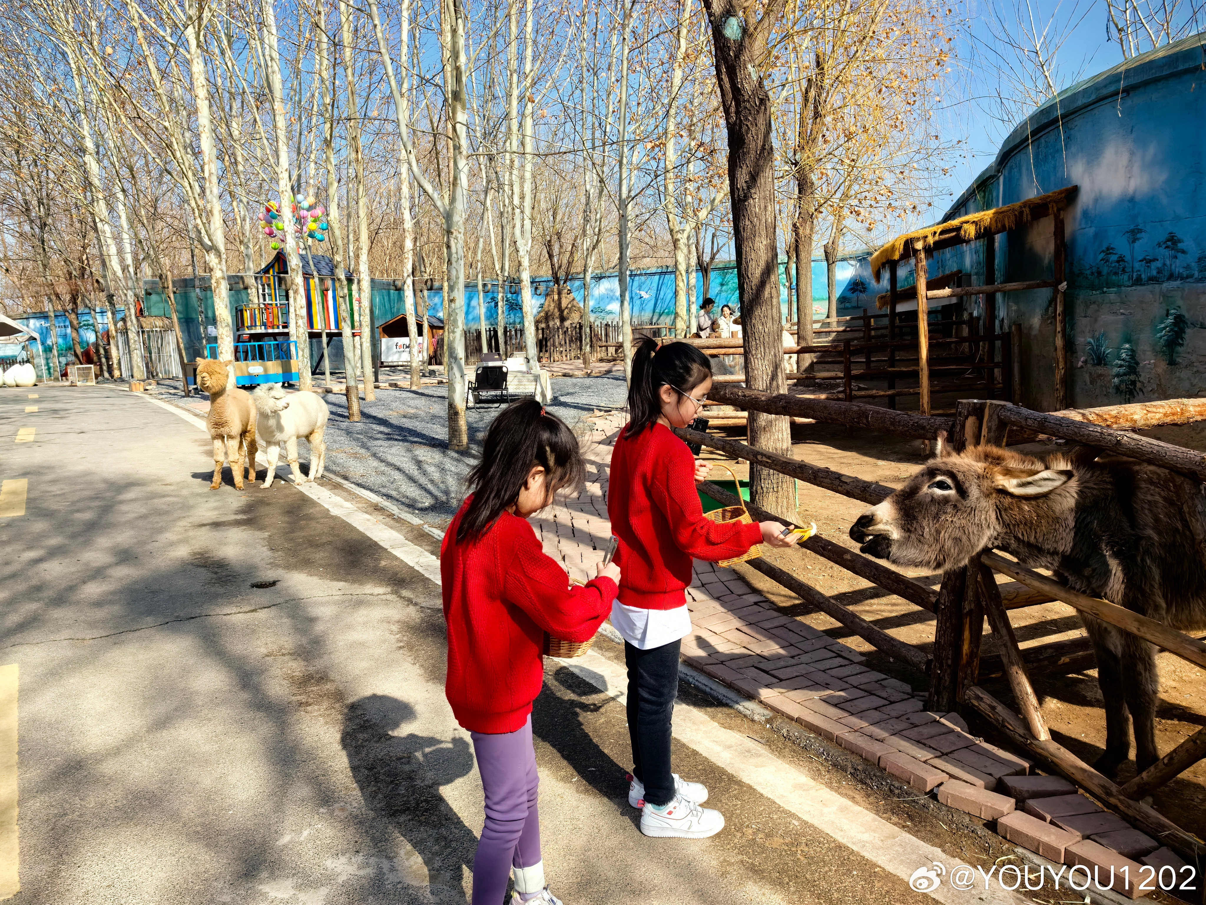退房后能去宾馆查到同住人身份证信息吗?退房后，宾馆能查到同住人身份证信息吗？揭秘隐私边界！
