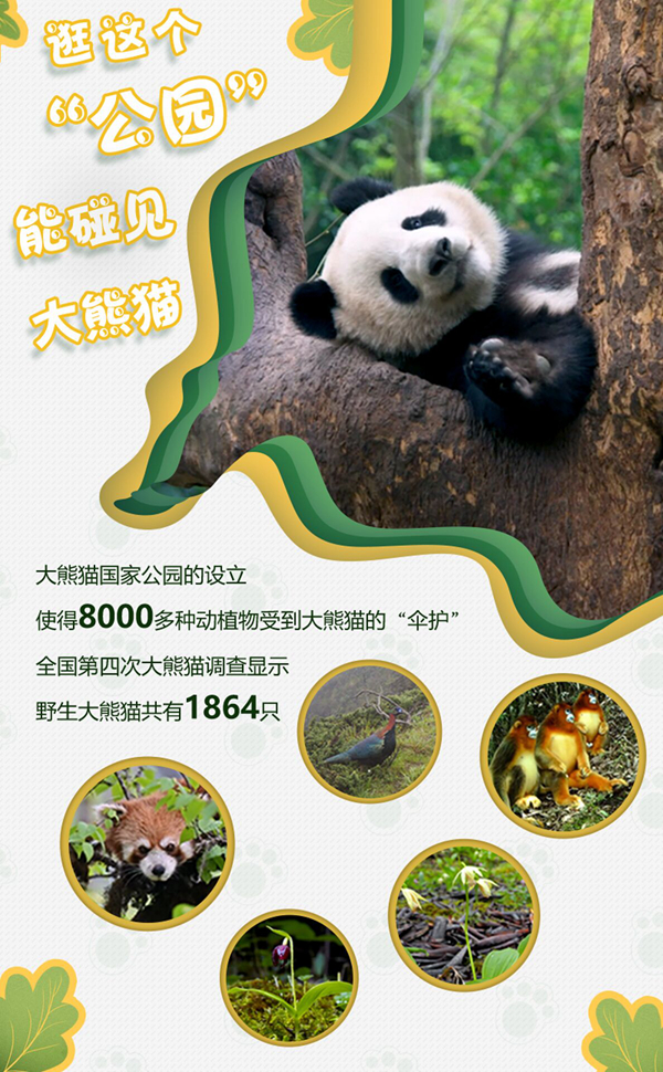 花呗额度提现与截图拍照全攻略