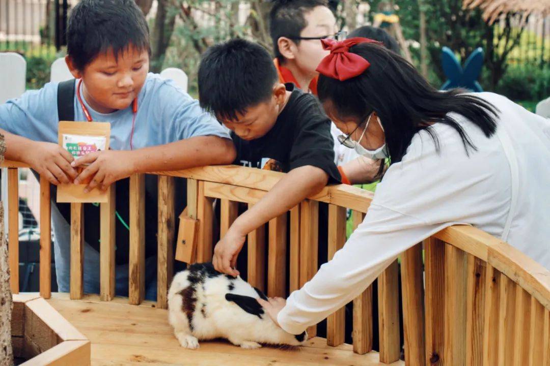 花呗额度提现与截图拍照全攻略