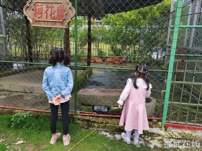 京东白条取现最多多少天 揭秘京东白条取现，最多能使用多少天？详解使用攻略及案例分享