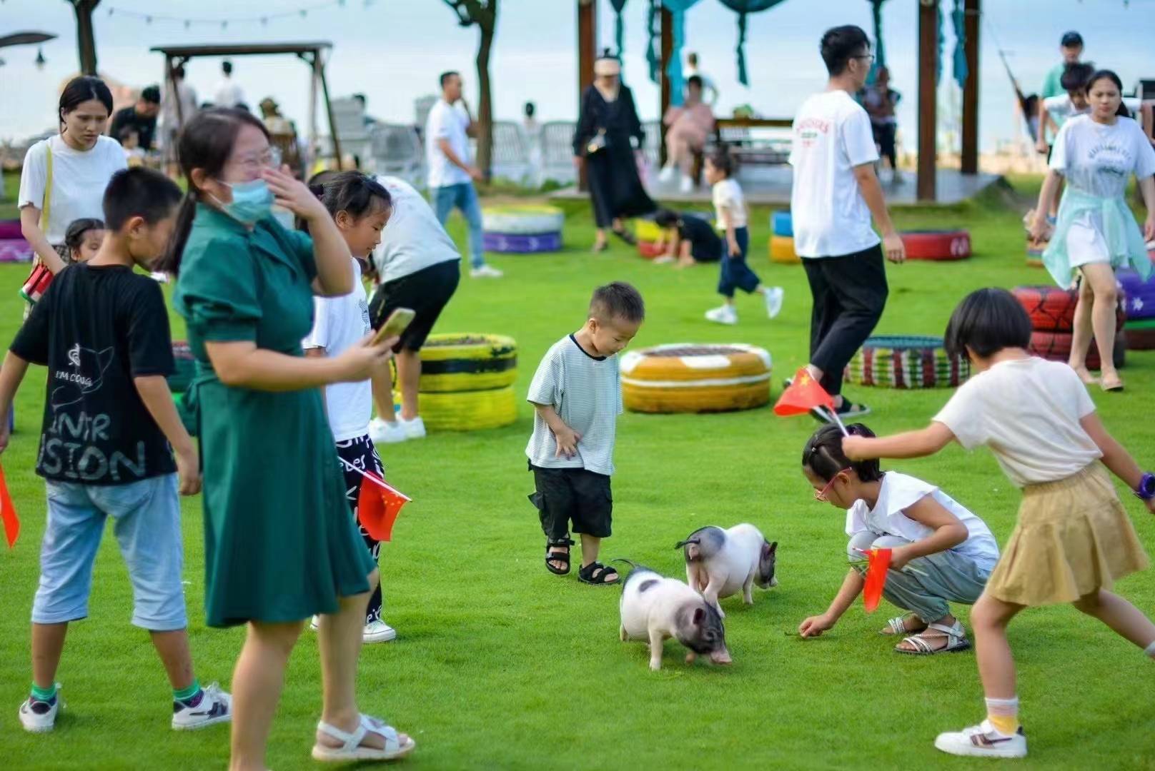 微信分付额度套现攻略，轻松获取你的专属额度包！