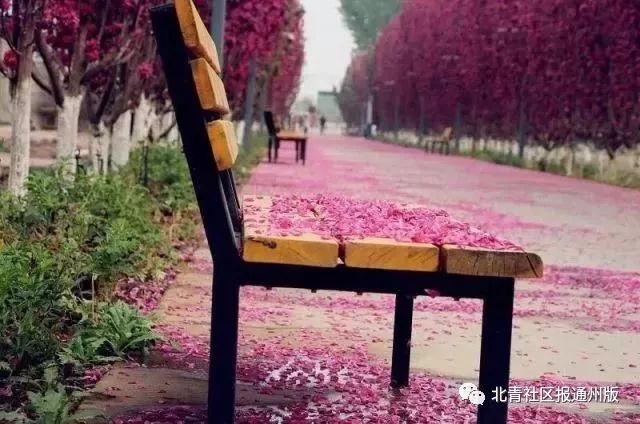 东莞大朗萌宠乐园门票体验