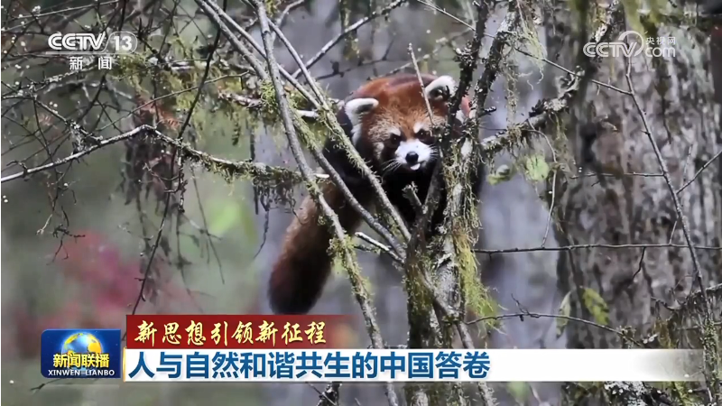 通海鹿岛萌宠乐园位置揭秘