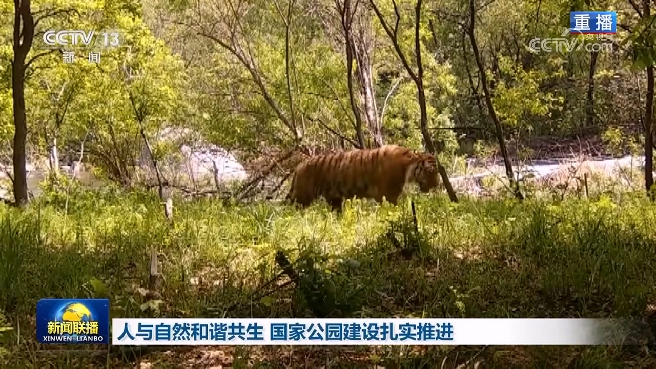 查开房记录等敏感信息？手把手教你避坑指南，法律风险与隐私保护全解析