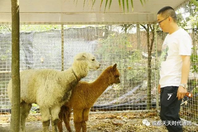 咸阳科技馆萌宠乐园—探索科技与萌宠的奇妙世界