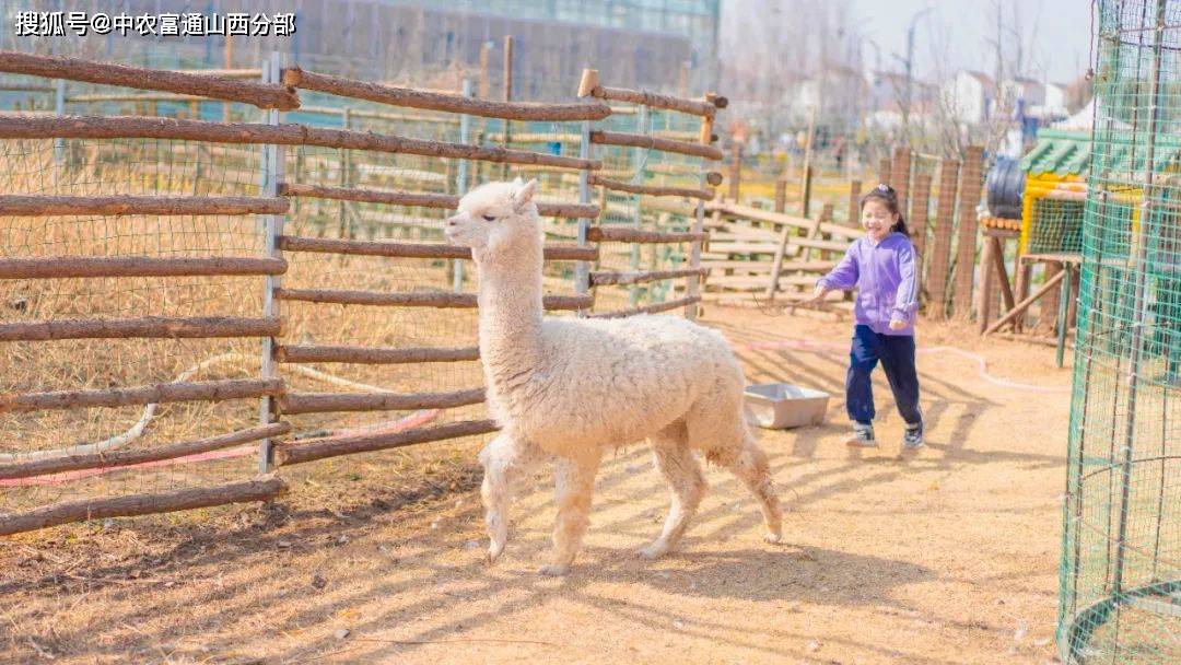 怎么查看对方删除的微信聊天记录？详解方法与注意事项