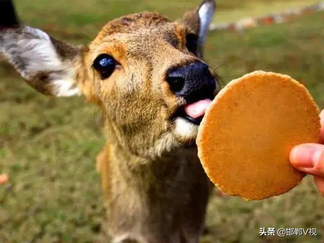 微信分付提现二维码更新时间 微信分付提现二维码更新时间揭秘，最新动态一览！