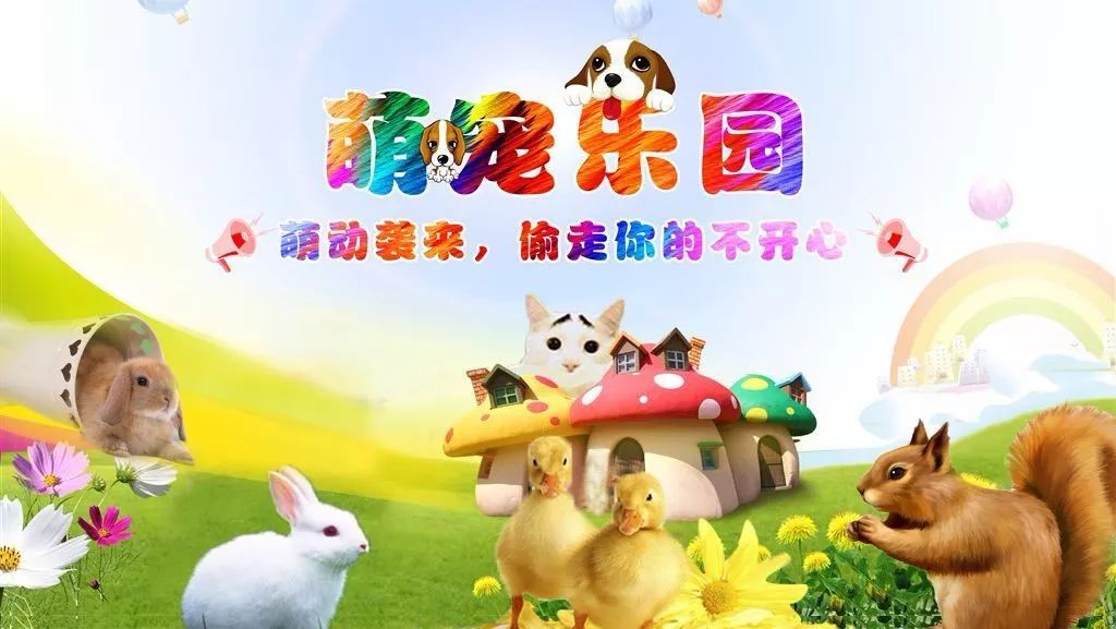 牡丹园萌宠乐园直播时间