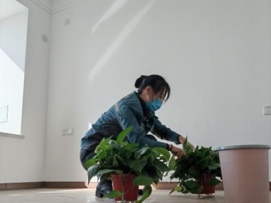 如何查开房纪录 轻松掌握查开房纪录的秘诀，让你了解隐私无死角！