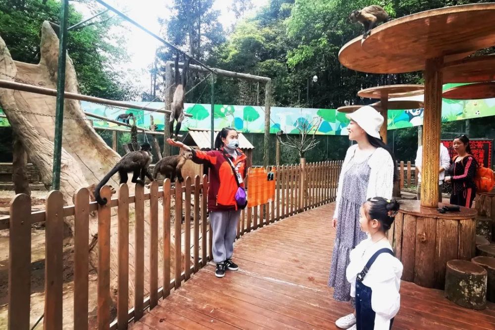 查开房记录询 揭秘查开房记录，如何轻松获取酒店入住信息？