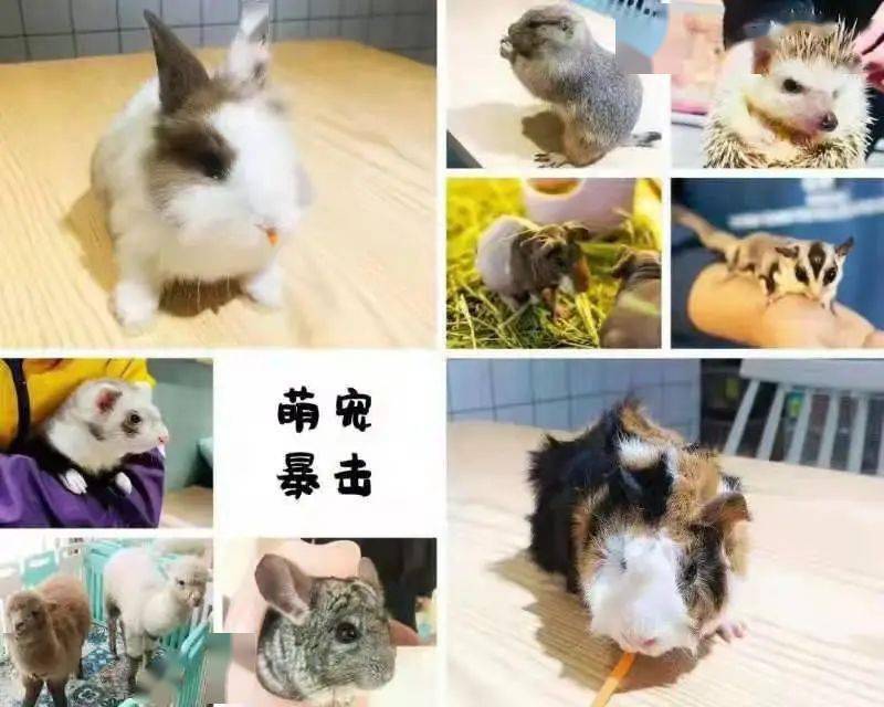 揭秘真相，如何查看老公微信聊天记录？你真的找对人了吗？