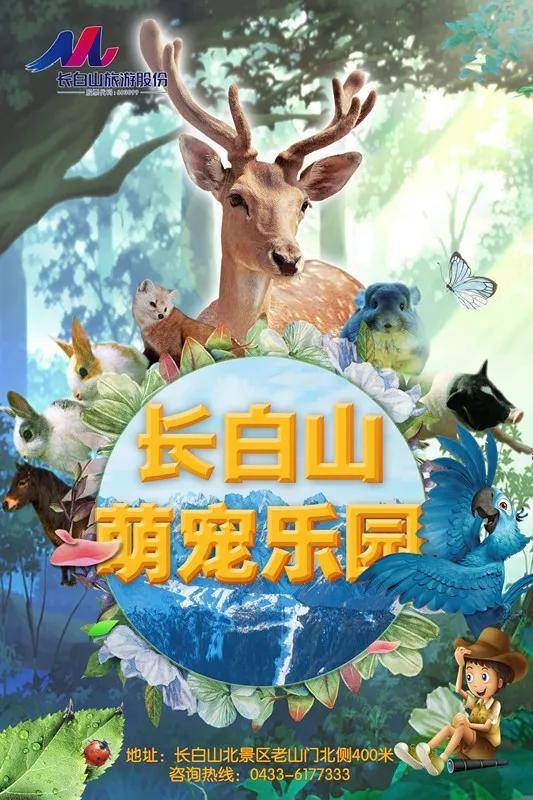 萌宠乐园探秘，与萌宠亲密接触