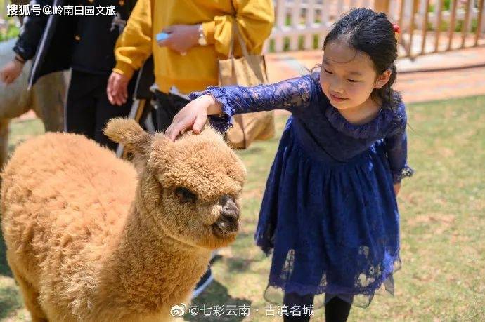 揭秘隐私保护，查开房记录的合法途径与潜在风险