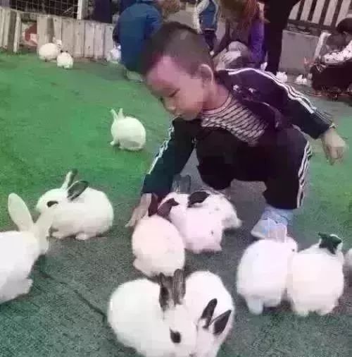 怎么查锡康码住酒店记录—详细步骤与案例解析