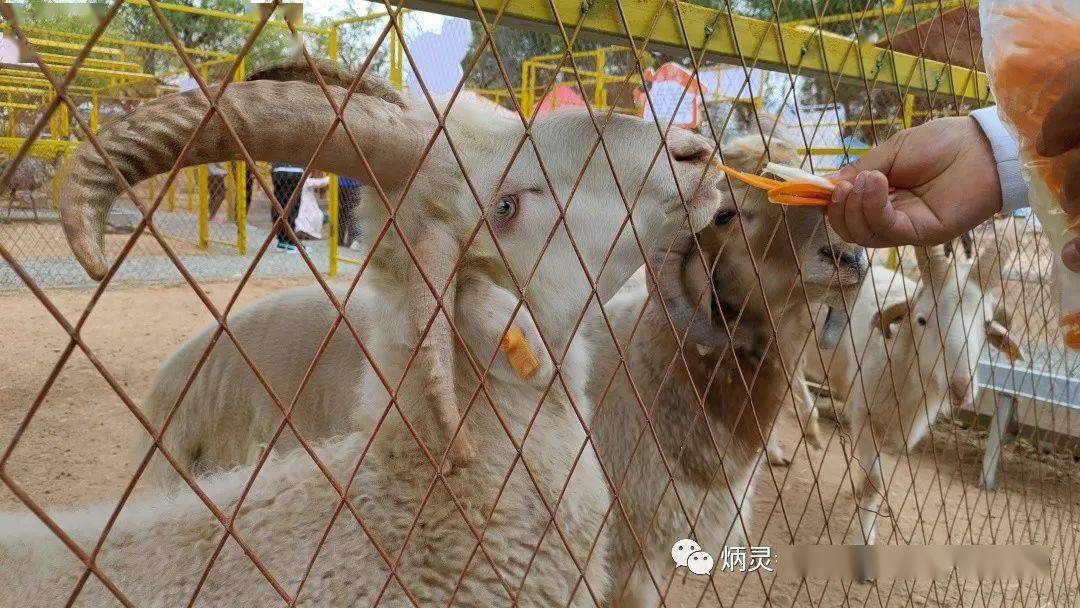 派出所能查到宾馆入住记录 揭秘派出所如何轻松查到宾馆入住记录