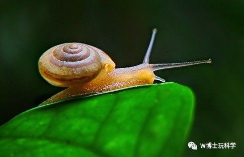 老公查开房查询记录 揭秘老公查开房记录，揭秘背后的真相与应对策略