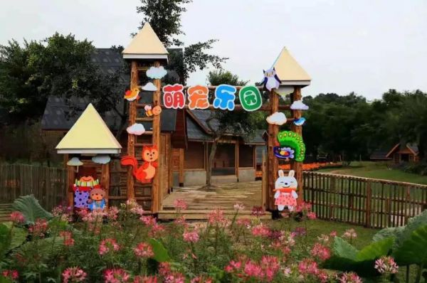 云南萌宠乐园出租电话地址及案例分享