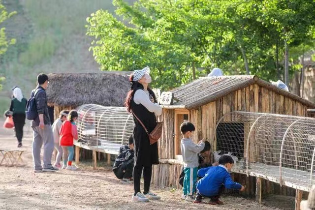 酒店会提供查住房记录吗？详解流程、注意事项与案例