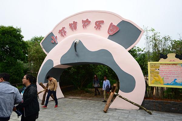佛堂萌宠乐园团购价格探秘超值体验