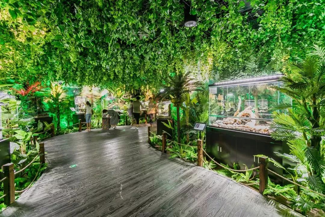 酒店房间电话查通话记录全攻略，一步步教你如何操作，还有案例说明