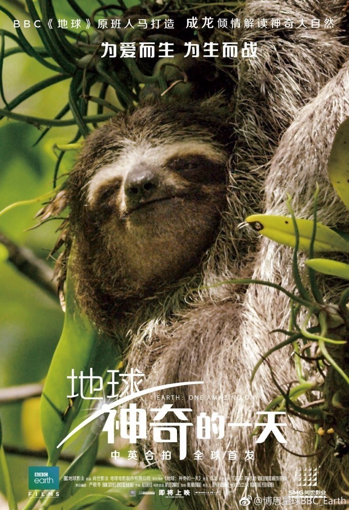 在线查开房信息，隐私与安全的双重挑战